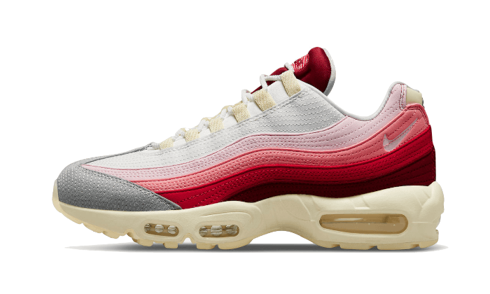 Nike Air Max 95 Anatomy Of Air