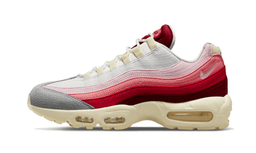 Nike Air Max 95 Anatomy Of Air